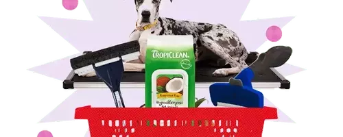 Maintain a Hair-Free Home with Pet-Friendly Products