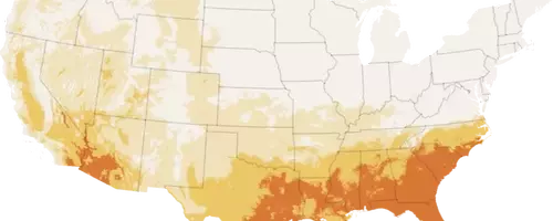 California's Unusually Cool Summer: A Climatic Anomaly Affecting the Golden State