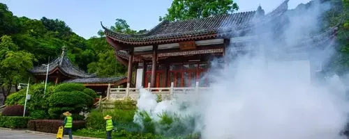 China's Aggressive Stance Against Chikungunya Outbreak: A Detailed Look