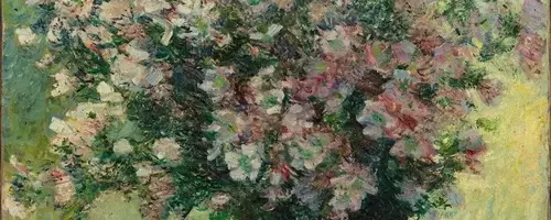 A Journey into Blurred Vision: Discovering Monet's World Through My Own Eyes