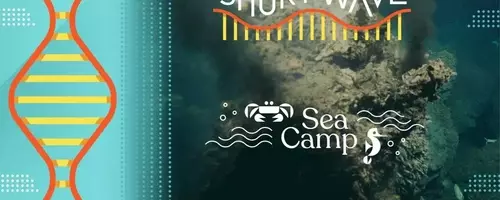 Unraveling Life's Genesis: Hydrothermal Vents, Tide Pools, and the Search for Extraterrestrial Life