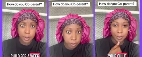 Co-parenting Challenges: A Father's Supply Complaint and a Mother's Insightful Reply