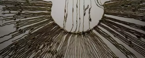 Unraveling Inca Mysteries: Human Hair in Khipu Suggests Widespread Literacy
