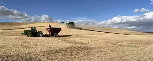 US Wheat Farmers Grapple with Trade Uncertainties Amid Tariff Landscape