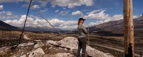 Jasper National Park: A Year After the Blaze, Lessons for Future Wildfire Management