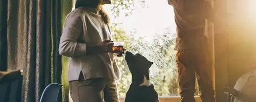 The Mystery of Early Risers: Do Children Sense Their Parents' Awakening?