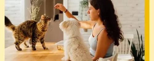 The 'Cat vs. Dog' Parenting Approach: Guiding Children Through Development