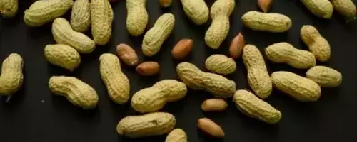 Peanut Allergy Prevention: A Decade of Progress