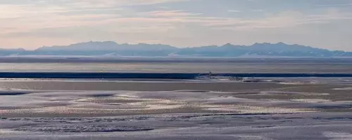 Trump Administration Greenlights Oil and Gas Drilling in Alaska's Arctic Refuge
