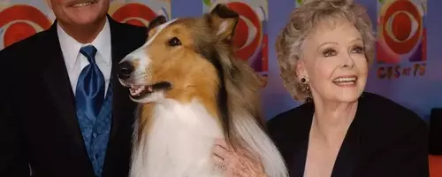 June Lockhart, Beloved Actress of 'Lassie' and 'Lost In Space,' Dies at 100