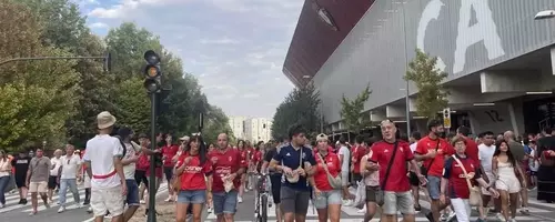 The Physics of Crowds: A Scientist's Quest for Safety