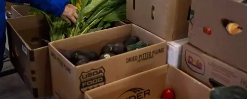 SNAP Benefits in Turmoil: Communities Mobilize Amidst Federal Shutdown