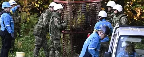 Japan Deploys Military to Combat Escalating Bear Encounters