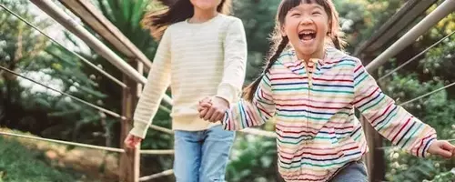 Exploring the Myth of the 'Wild' Second Child