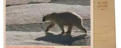 Arctic Expedition: Polar Bears Encounter Icebreaker