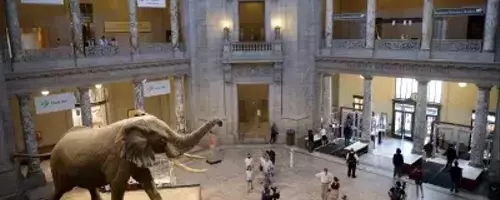 Cultural Institutions Reopen After Government Shutdown