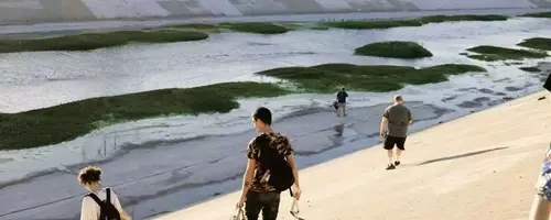 Guerrilla Gardener Creates Pop-Up Wetland in LA River