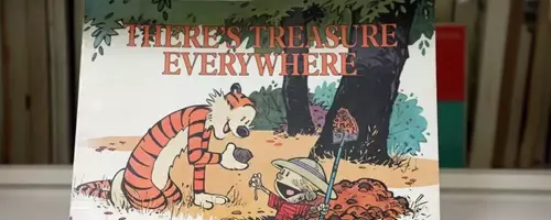Celebrating Four Decades of Calvin and Hobbes' Enduring Legacy