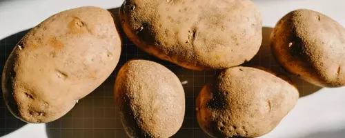 Mastering Potato Preservation: Essential Tips for Freshness