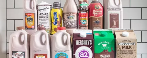 The Ultimate Chocolate Milk Taste Test: Finding Your Perfect Sip