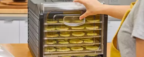 The Ultimate Guide to Food Dehydrators