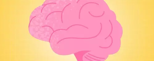 Weight Management and Brain Health: A New Perspective