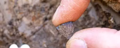 Ancient Fire-Starting: New Evidence Reshapes Human History