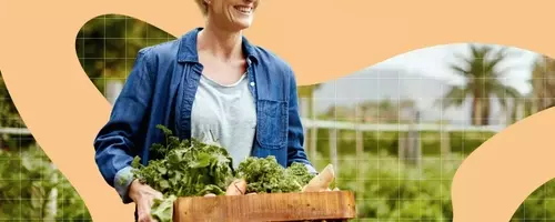 Broccoli's Brain Benefits and Optimal Storage Methods