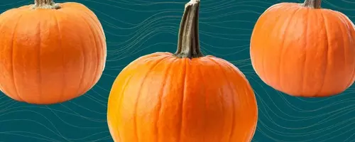 The Comprehensive Guide to Pumpkin: Health Benefits, Nutrition, and Culinary Uses
