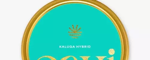 Cavi Caviar: A Luxurious Yet Affordable Delight