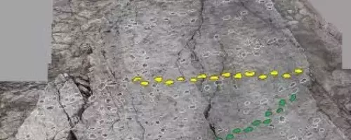 Ancient Dinosaur Tracks Uncovered Near Italian Winter Olympic Sites