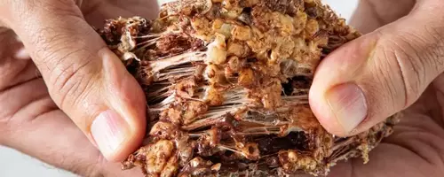 Malted Cocoa Rice Krispies Treats: A Deliciously Versatile Snack