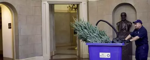 Sustainable Holiday Cleanup: Managing Post-Celebration Waste