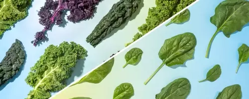 Kale vs. Spinach: Which Green Reigns Supreme?