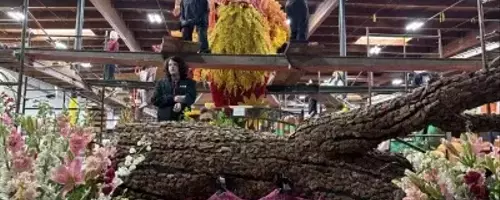 Phoenix of Hope: Rose Parade Float Commemorates Fire Survivors