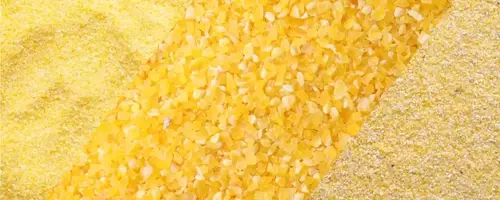 Unraveling the Mysteries of Cornmeal, Polenta, and Grits