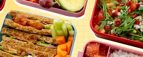 Expert Strategies for Effortless and Enjoyable Packed Lunches