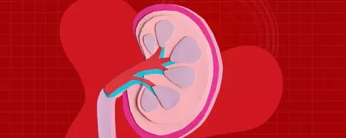 The Hidden Risk of Excessive Electrolyte Drink Consumption for Kidney Health