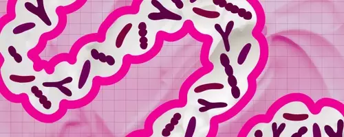 The Daily Impact of Yogurt on Gut Health
