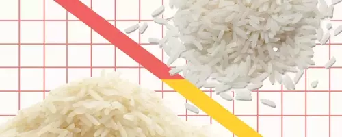 Basmati vs. Jasmine Rice: Unraveling the Distinct Characteristics of Aromatic Grains