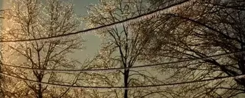 Ice Storms: Understanding the Hazards and Preparing for Impact
