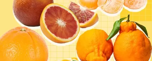 A Comprehensive Guide to Orange Varieties