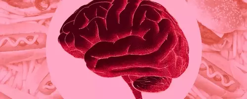 The Impact of Ultra-Processed Foods on Brain Health: A New Review