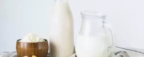 The Nutritional Power of Dairy: Essential Products for a Balanced Diet