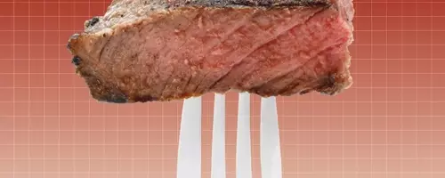 Understanding the Carnivore Diet: A Critical Review of Health Impacts