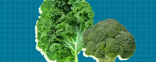 Top Winter Vegetables for a Mediterranean Diet