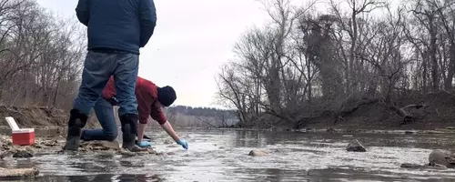 Environmental Crisis: Potomac River Suffers Massive Sewage Spill