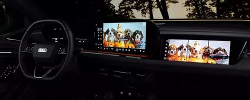 Audi RS5 Owners Face Additional Charges for Infotainment Themes
