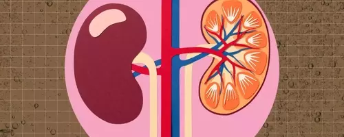 The Impact of Dark Sodas on Kidney Health