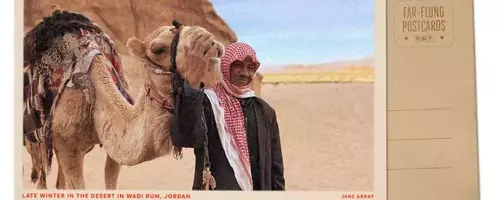 Wadi Rum Blooms: A Desert Transformed by Winter Rains